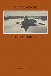 sterpi e fioriture